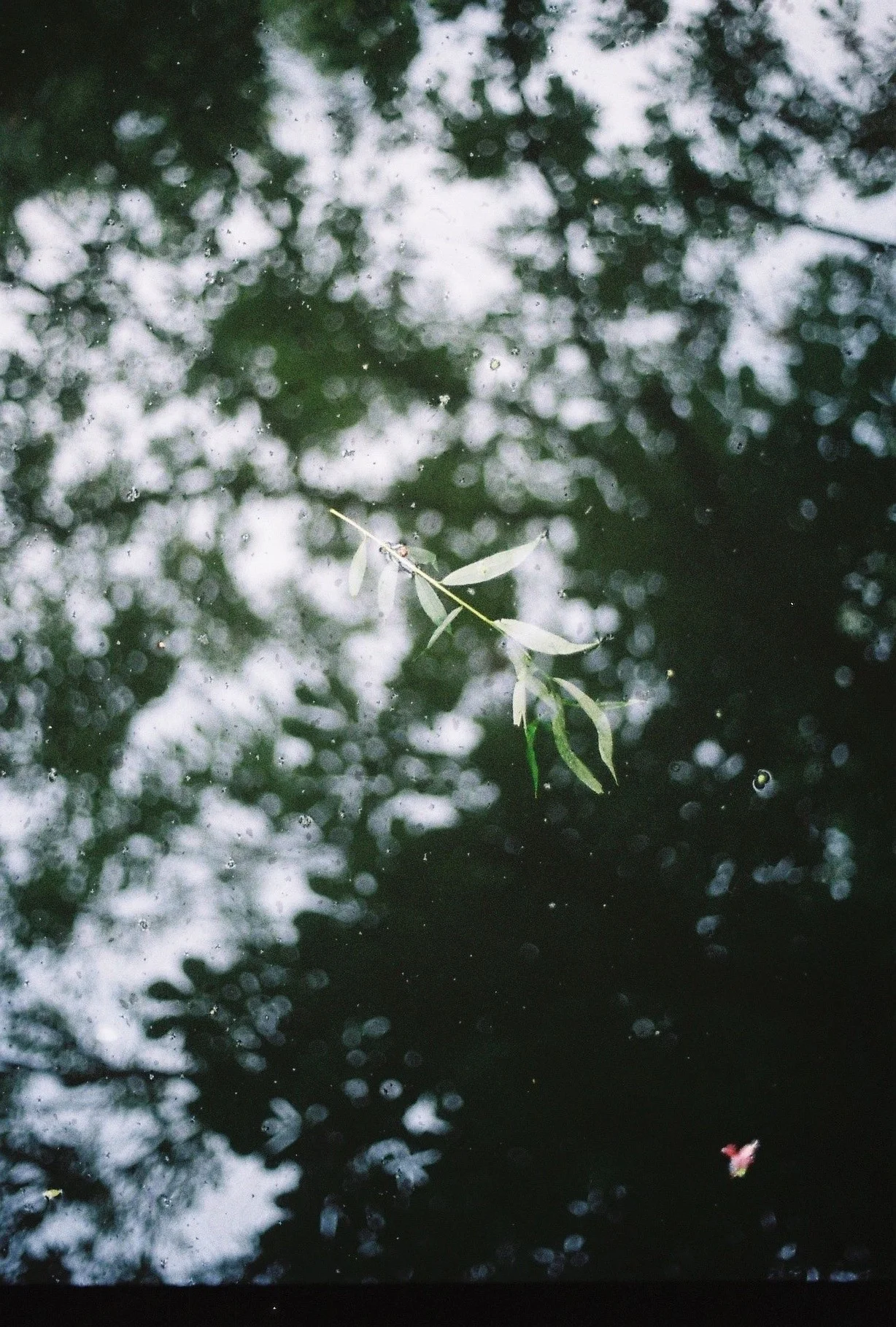 Surface (23).jpg