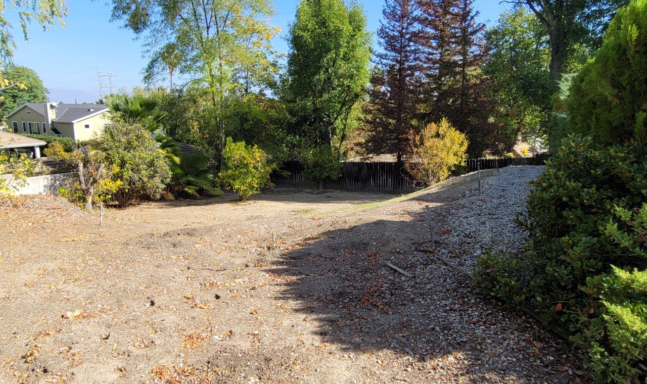 Brewsterland rear.jpg