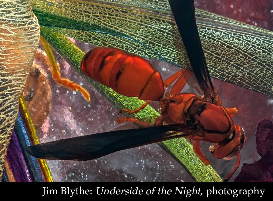 Painting of a red flying insect by Jim Blythe