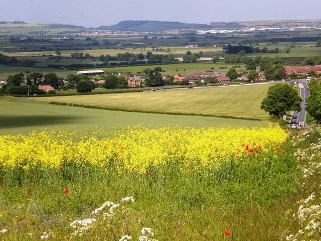 The beautiful English countryside in Yorkshire