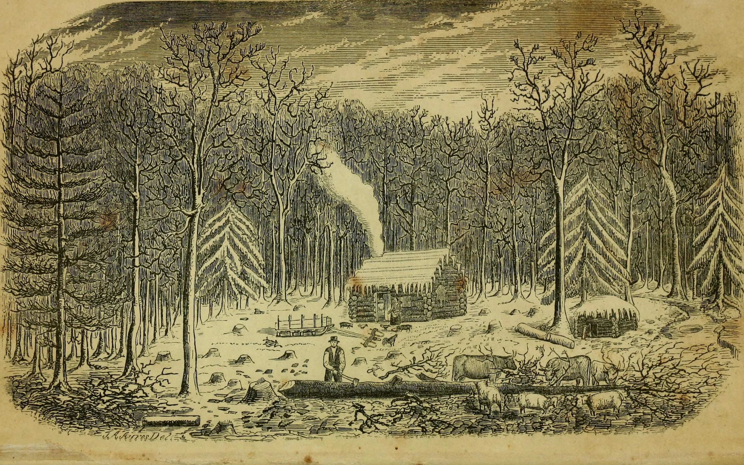 Pioneer farming in western New York