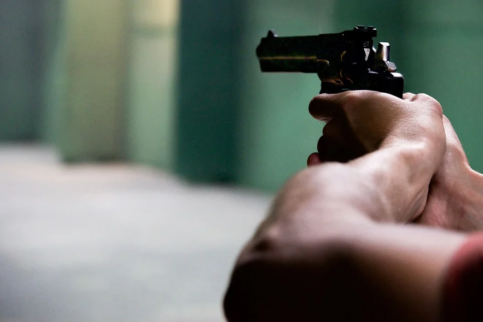 gun-2227646_960_720.jpg