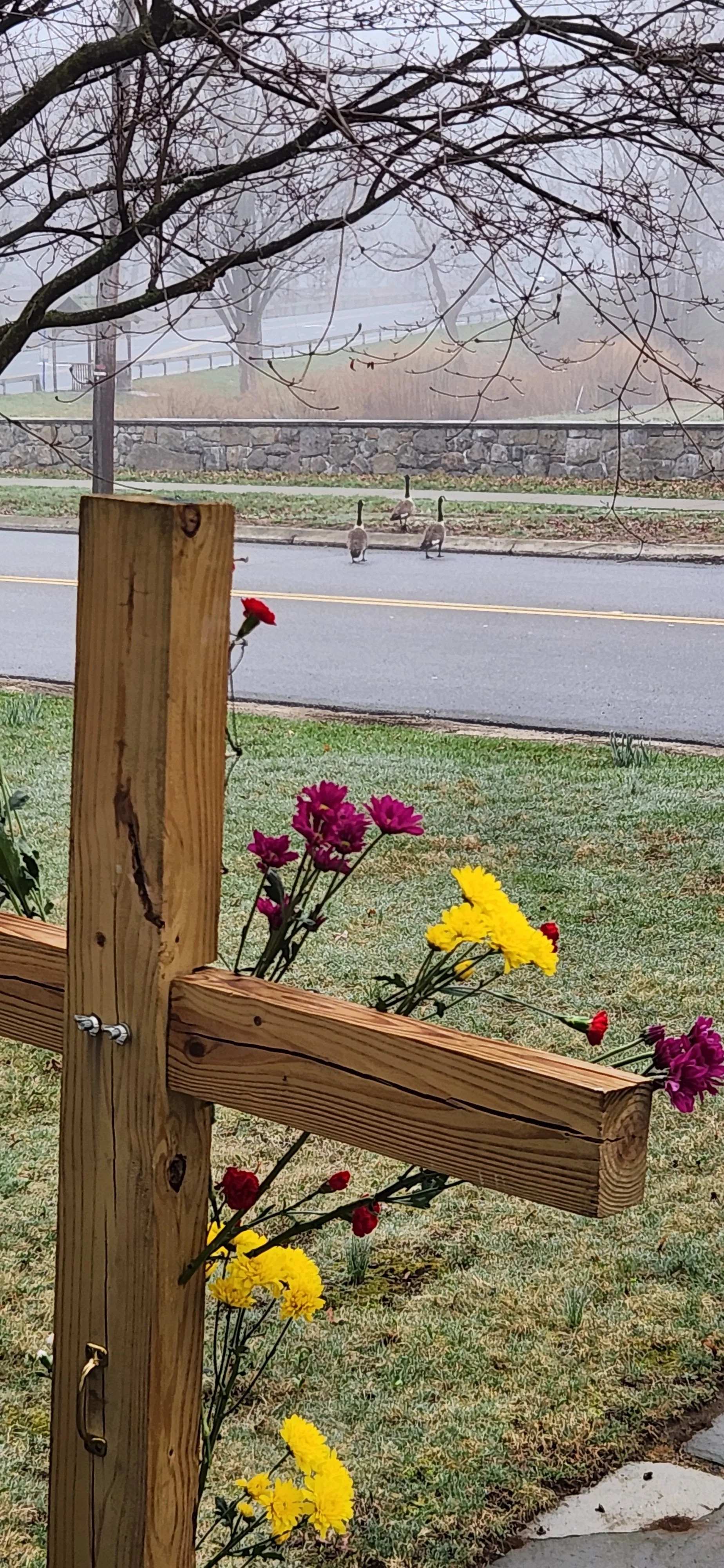 Easter 2026 1 cross geese.jpg