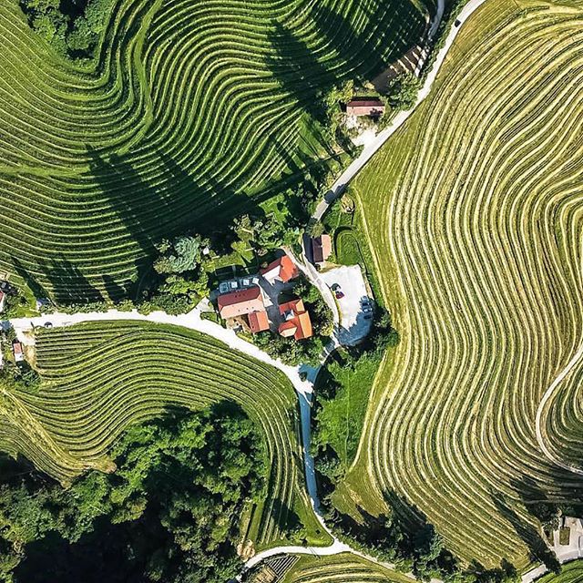 Slovenia wine country... #travelgoals  Beautiful!! Happy Thursday everyone !! #sentobenewines #misentobene #travelgoals 🥂