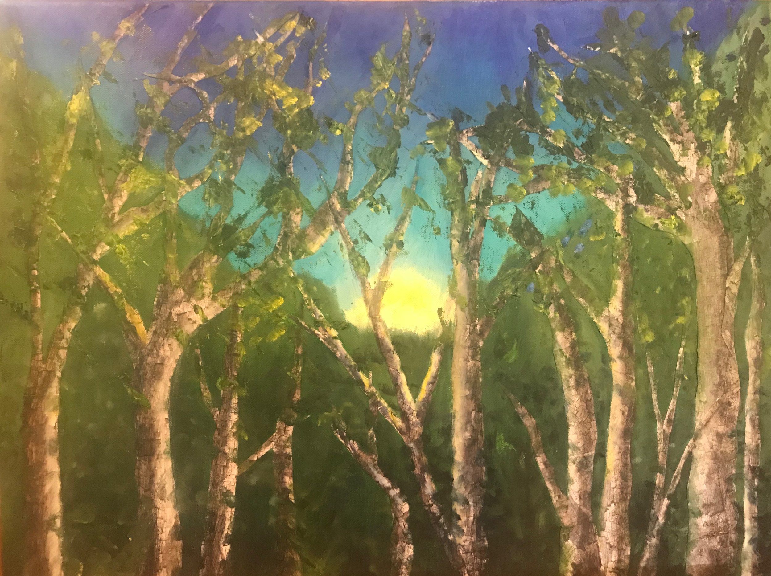 Start of a Perfect Day