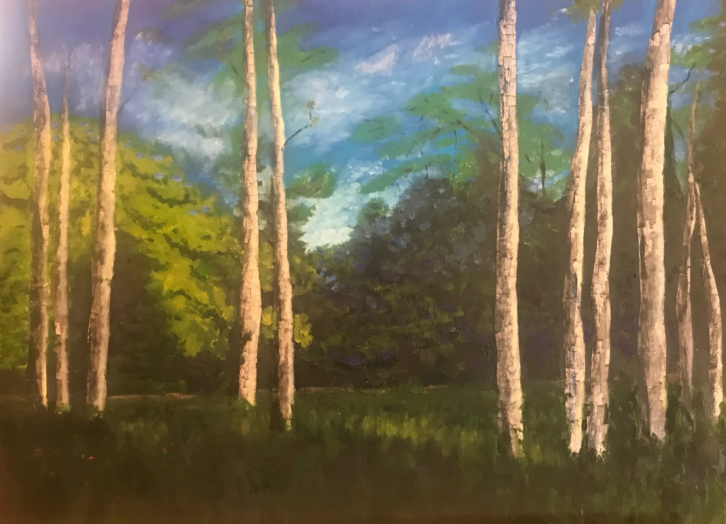 Enchanted Forest