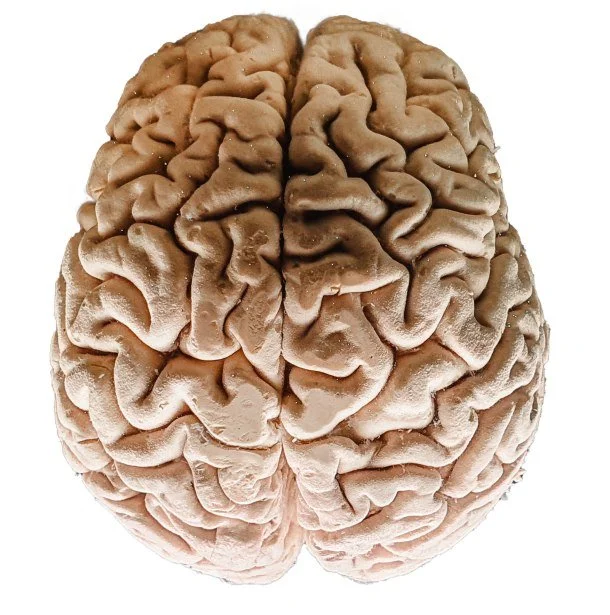 Your brain works the way it works. That is not a problem to be solved.
ADHD, autism, dyslexia, and other forms of neurodivergence are not deficits. They are differences -- ones that often come with real strengths and real challenges in a world that w