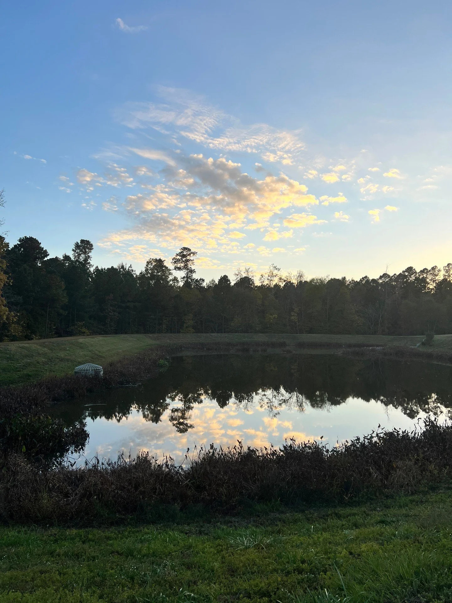 August is almost over. And something new is on its way.
Fall is not here yet -- but you can feel it at the edges. 
The mornings are changing. Something is shifting.
You don't have to arrive at September with a plan or a reinvention. 
You can just arr