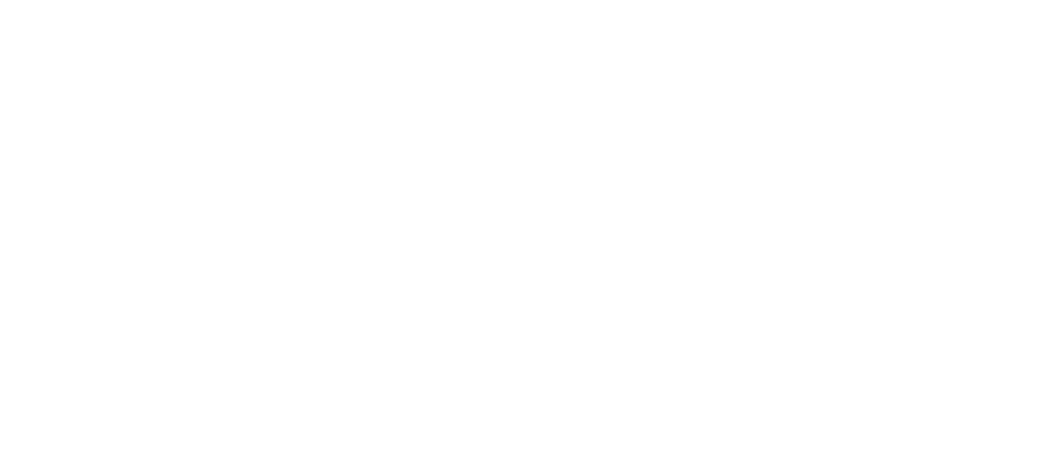 Mark Small