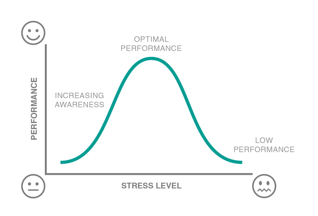 performance_chart.jpg