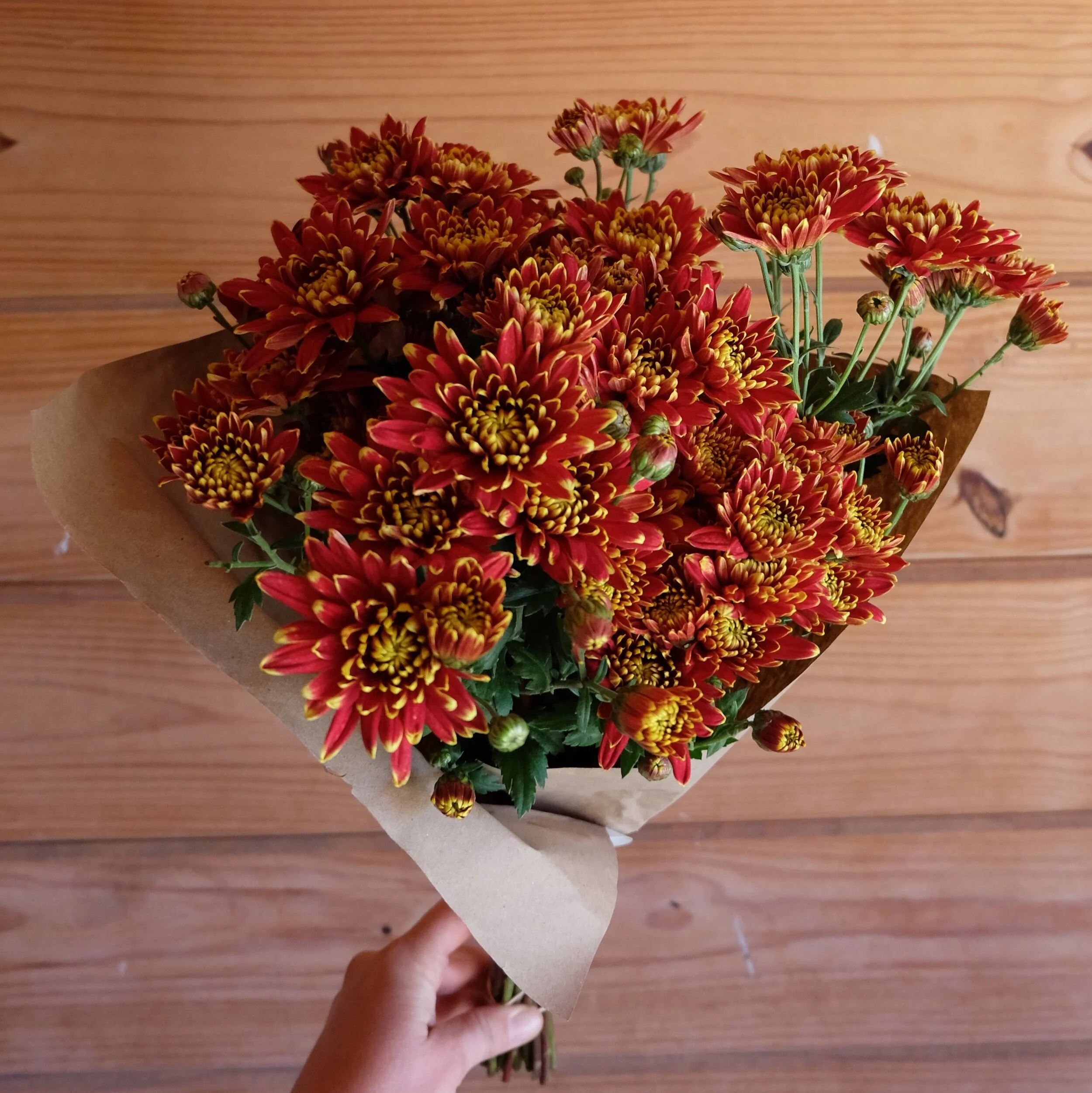 Mums- Red-Gold.JPG