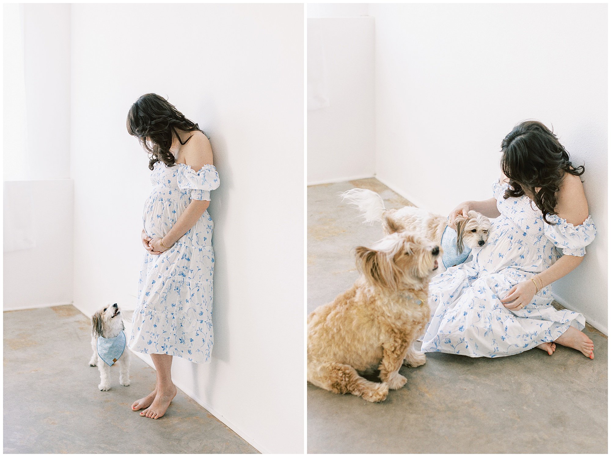 maternity-with-dogs.jpg