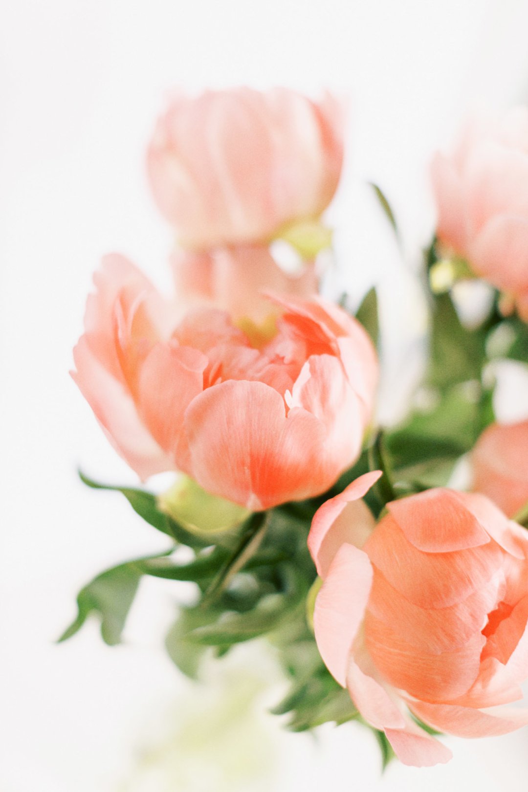 When the end of fall takes the color from the landscape around me, I have to dig a little deeper and be purposeful to surround myself with things that bring me joy.  If you feel the same, I invite you to find yourself a creative, bright outlet to fil