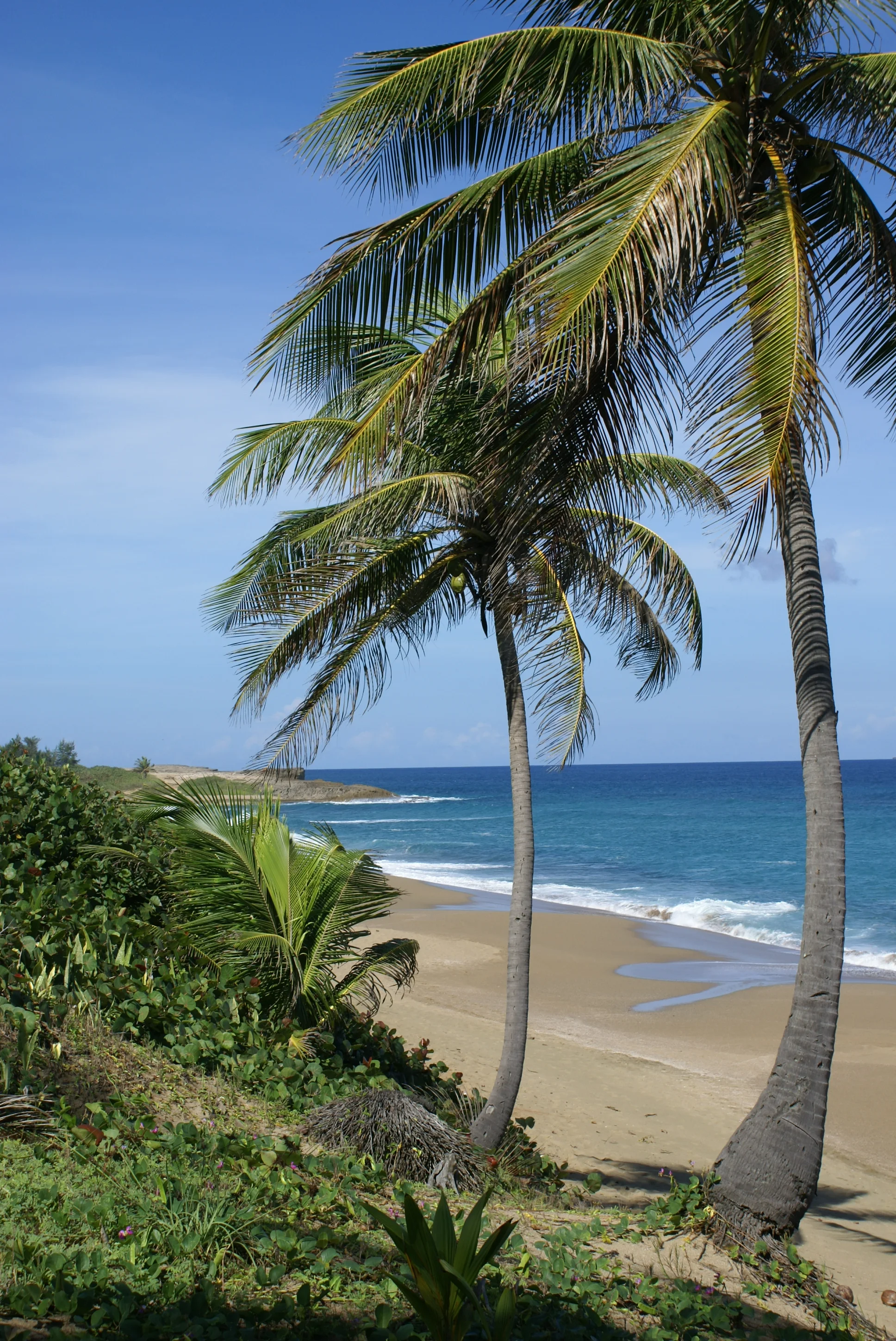 Puerto Rico (298).JPG