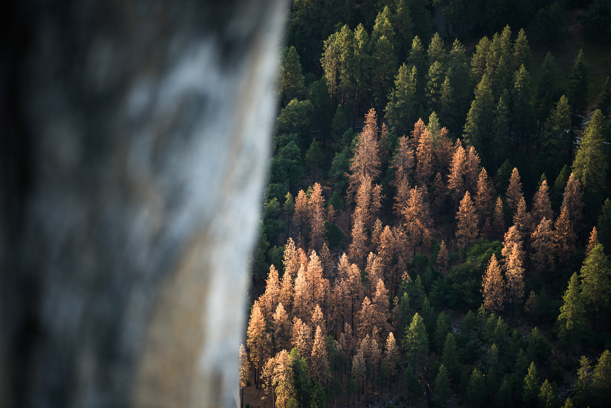 Shooting from 7,000ft in Yosemite this April