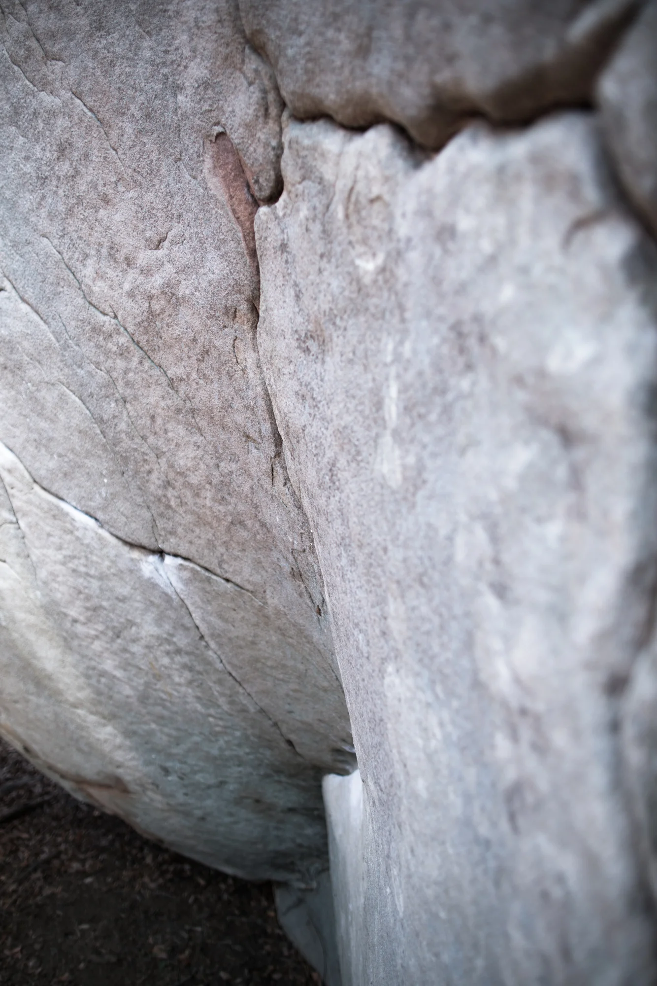 The SE has the prettiest features in all the land. If you don't like it, you probably don't like rock climbing. 