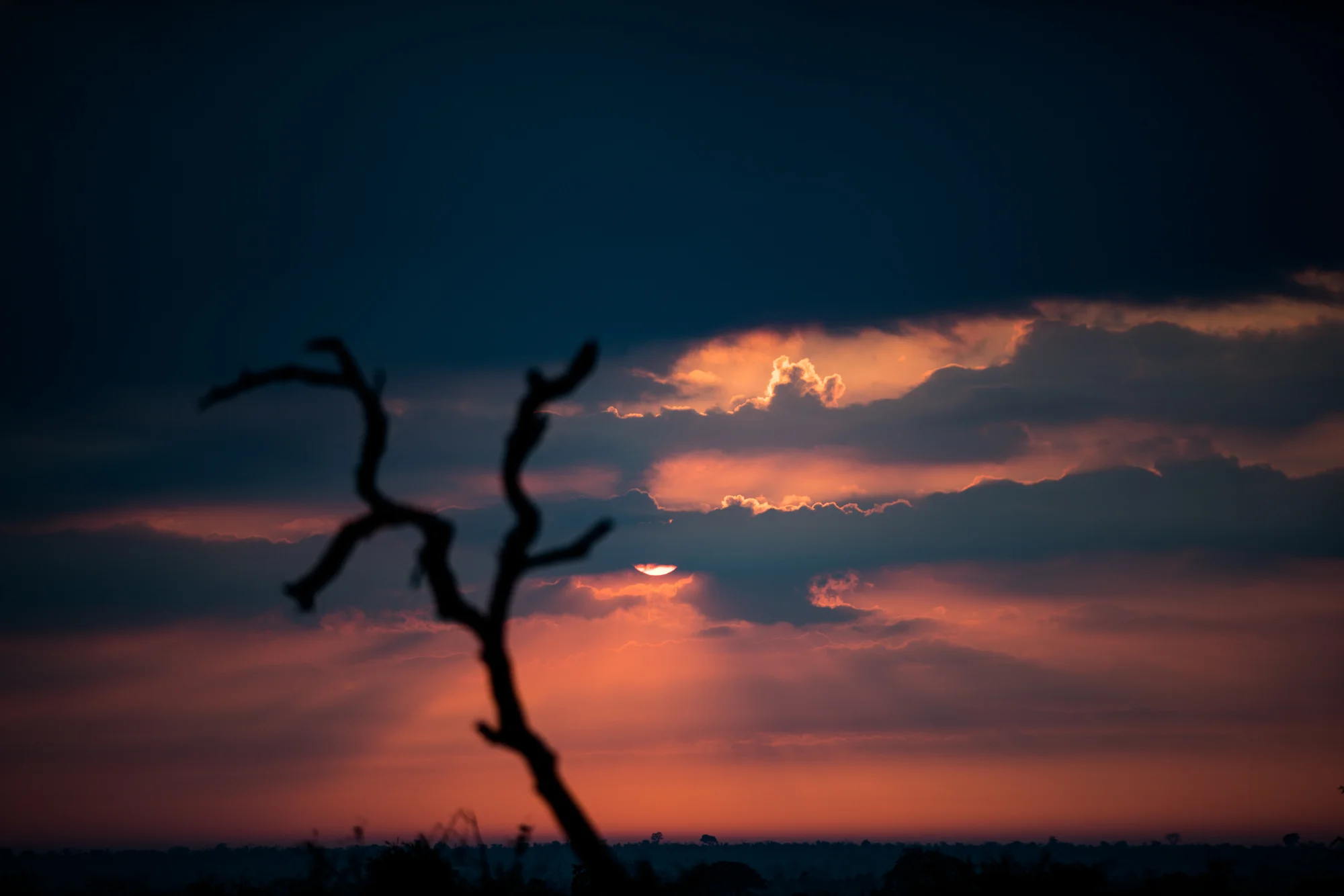 One of the files running around without any pants on - A South African Sunrise