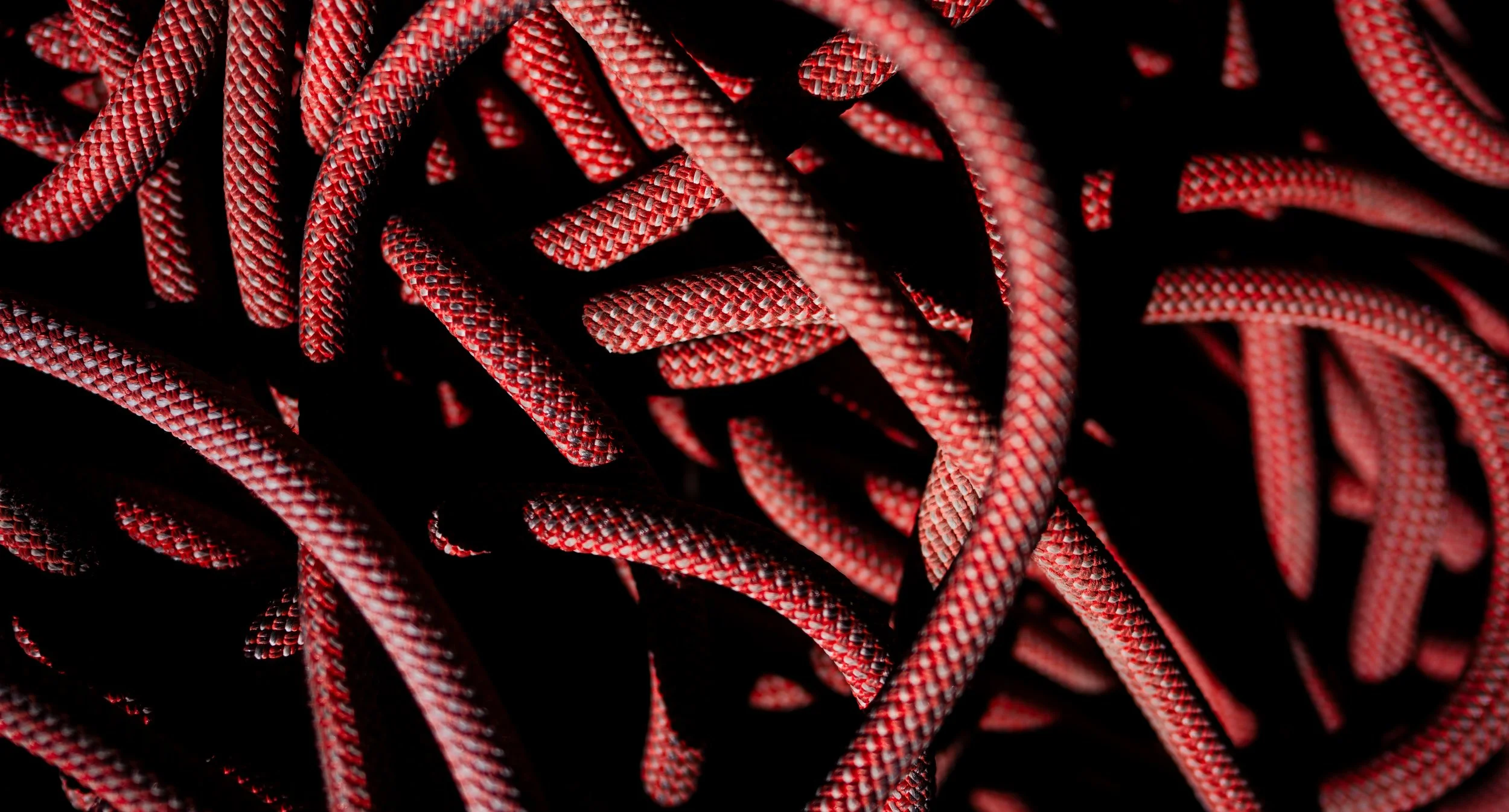 250929_LITHOS SL HARNESS_Kerzhner_DSC04062.ARW.jpg