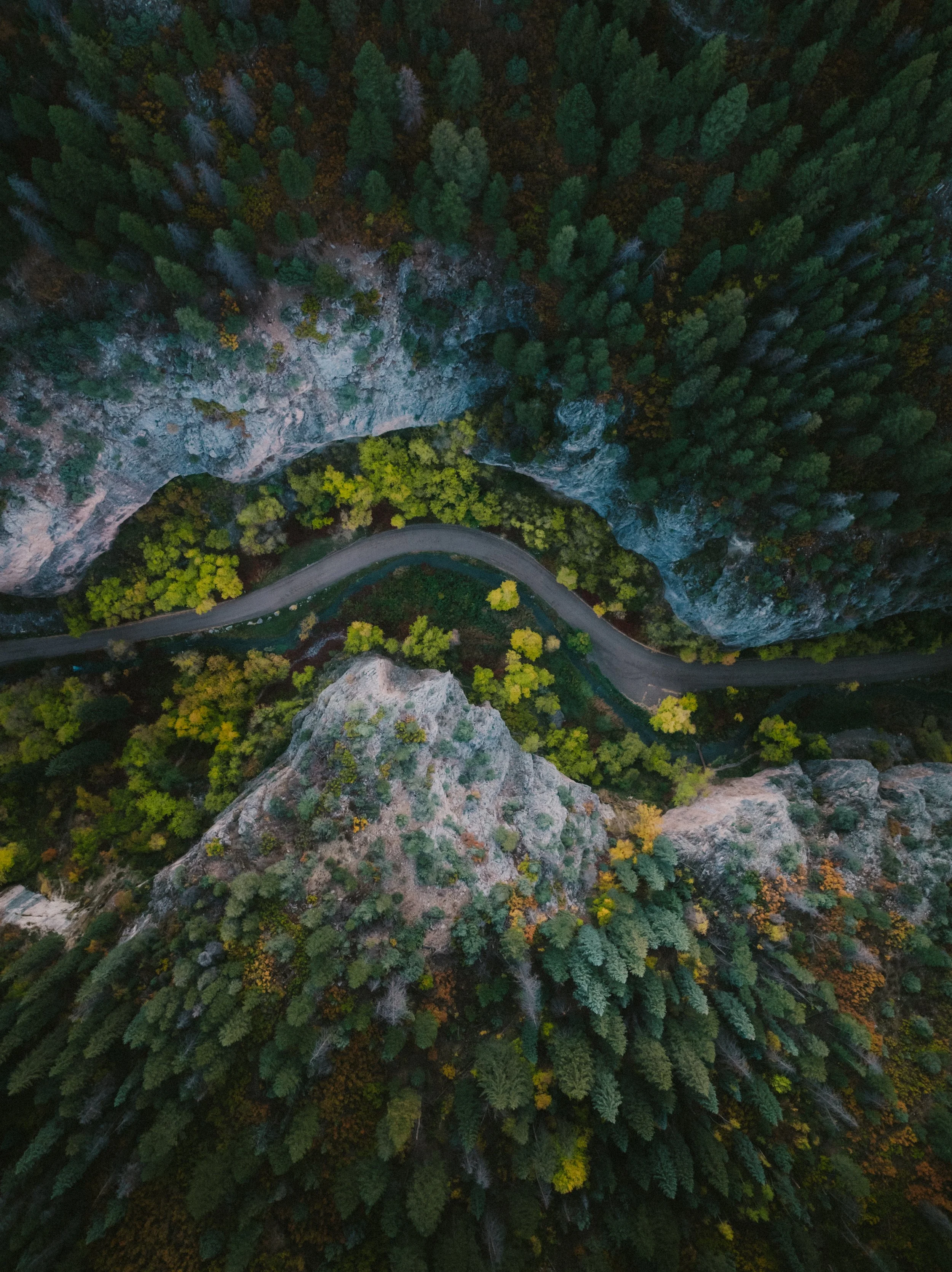 251001_LITHOS SL HARNESS_Kerzhner_80.jpg