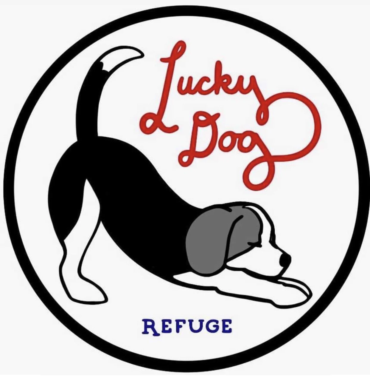 Adopt A Pet Paws Of Greenwich Ct Community