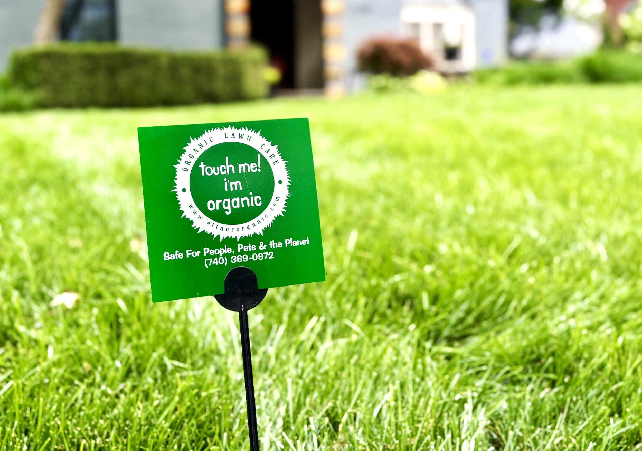 Lawn Sign 2025.jpg