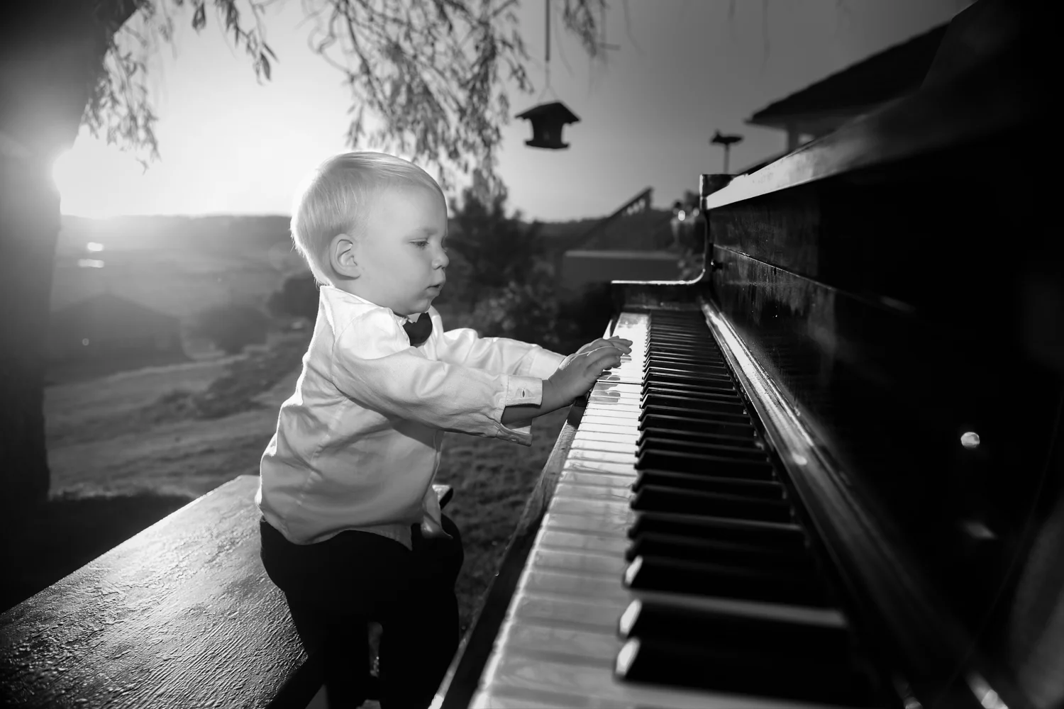 Young maestro