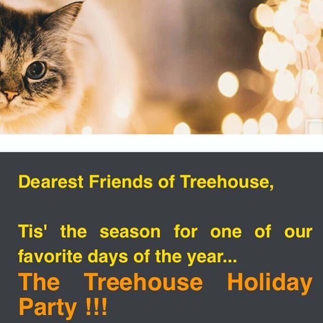 ✨✨🥂🥂🥰🥰TOMORROW THURSDAY 5-9 TREEHOUSE HOLIDAY PARTY!!! We have lots of bubbles and tasty treats and good cheer to share- and everything&rsquo;s on SALE 20% OFF!!! Please swing by!!! 🌲🌲🥰🥰✨✨🥂🥂