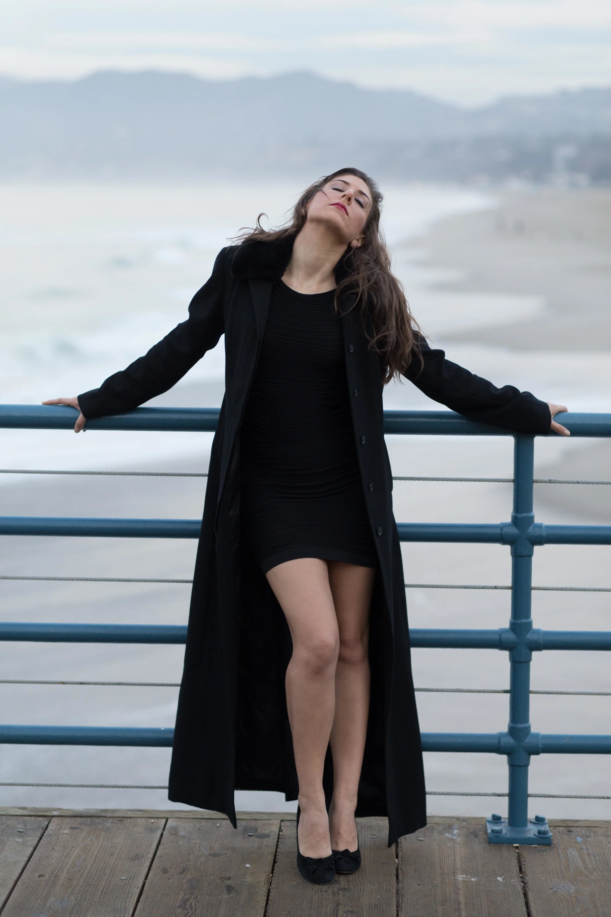 Kari Lane Santa Monica - _Gene's picks-13.jpg