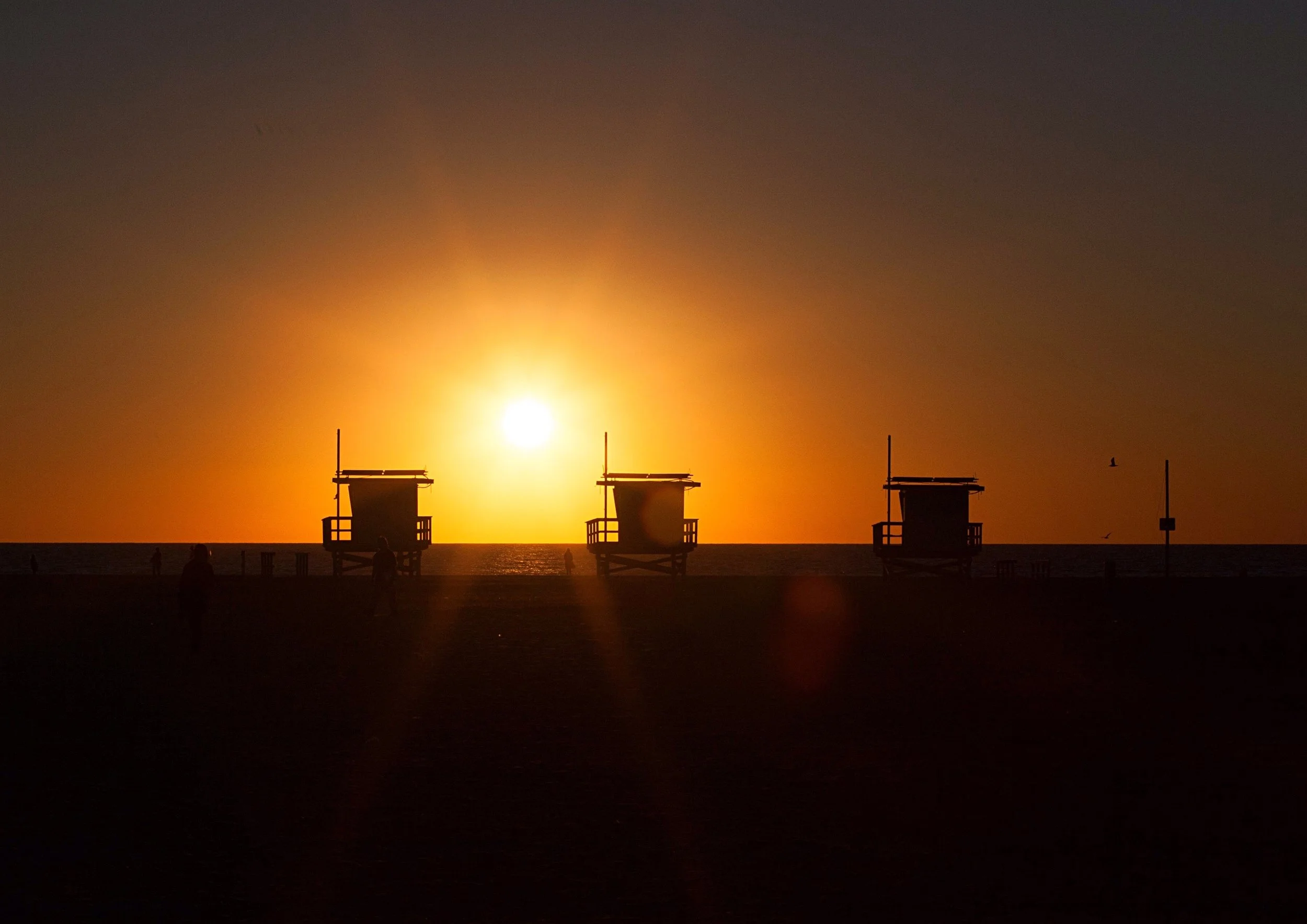 File Dec 28, 7 32 48 PM.jpeg