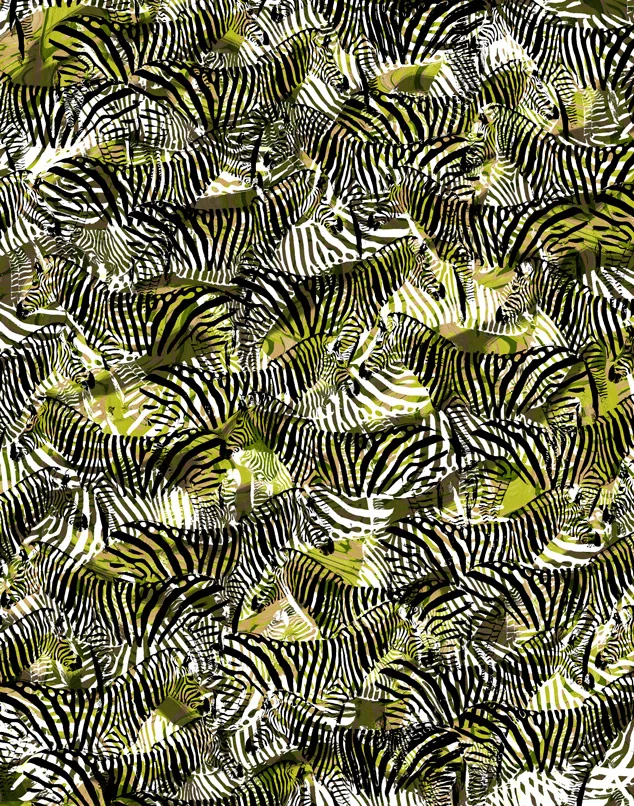safari_02.jpg