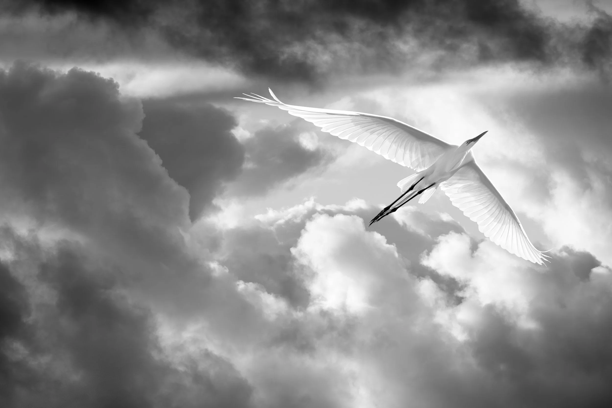 Storm Clouds