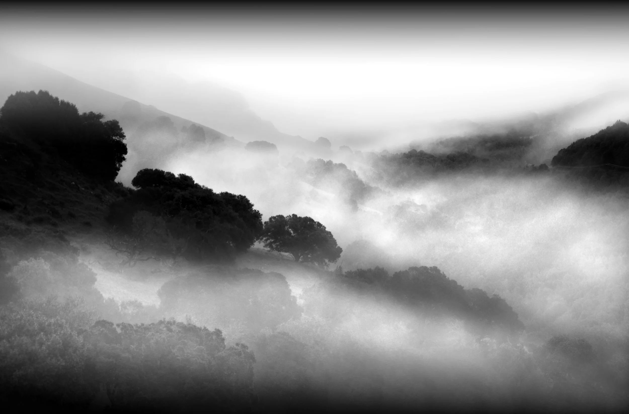Valley Fog 