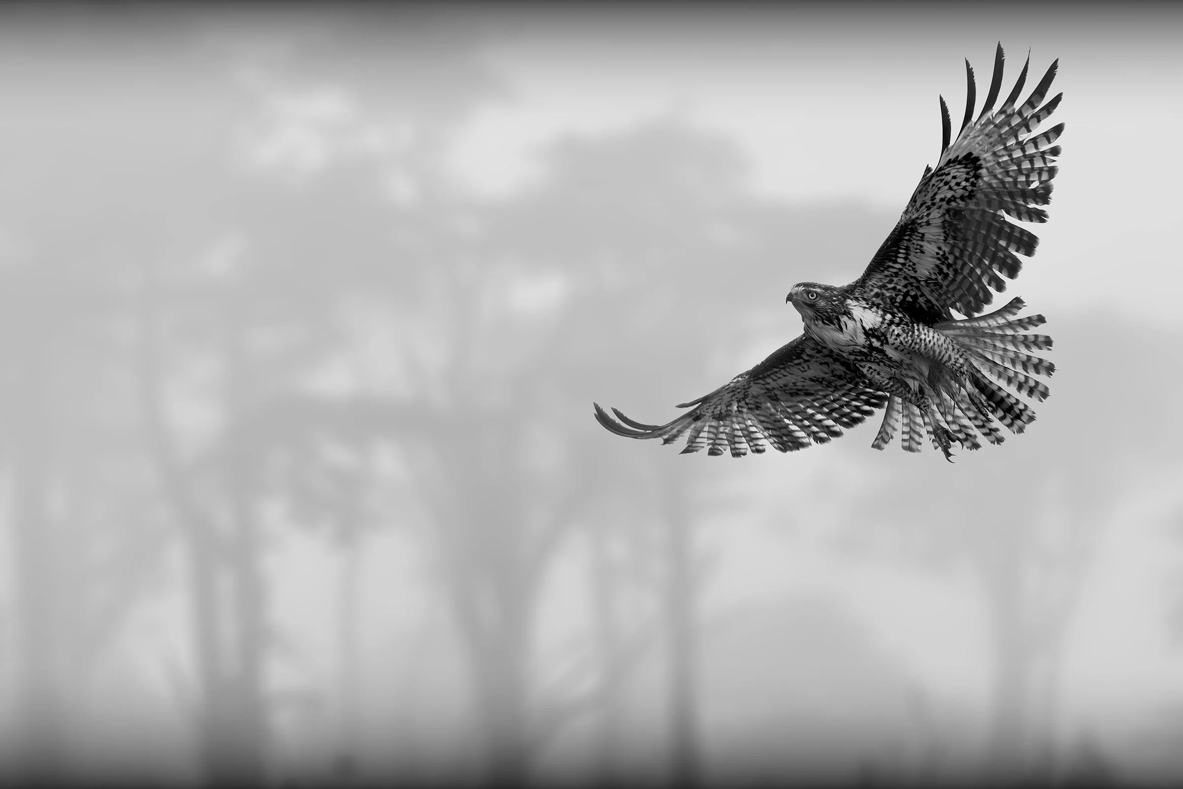 The Approach