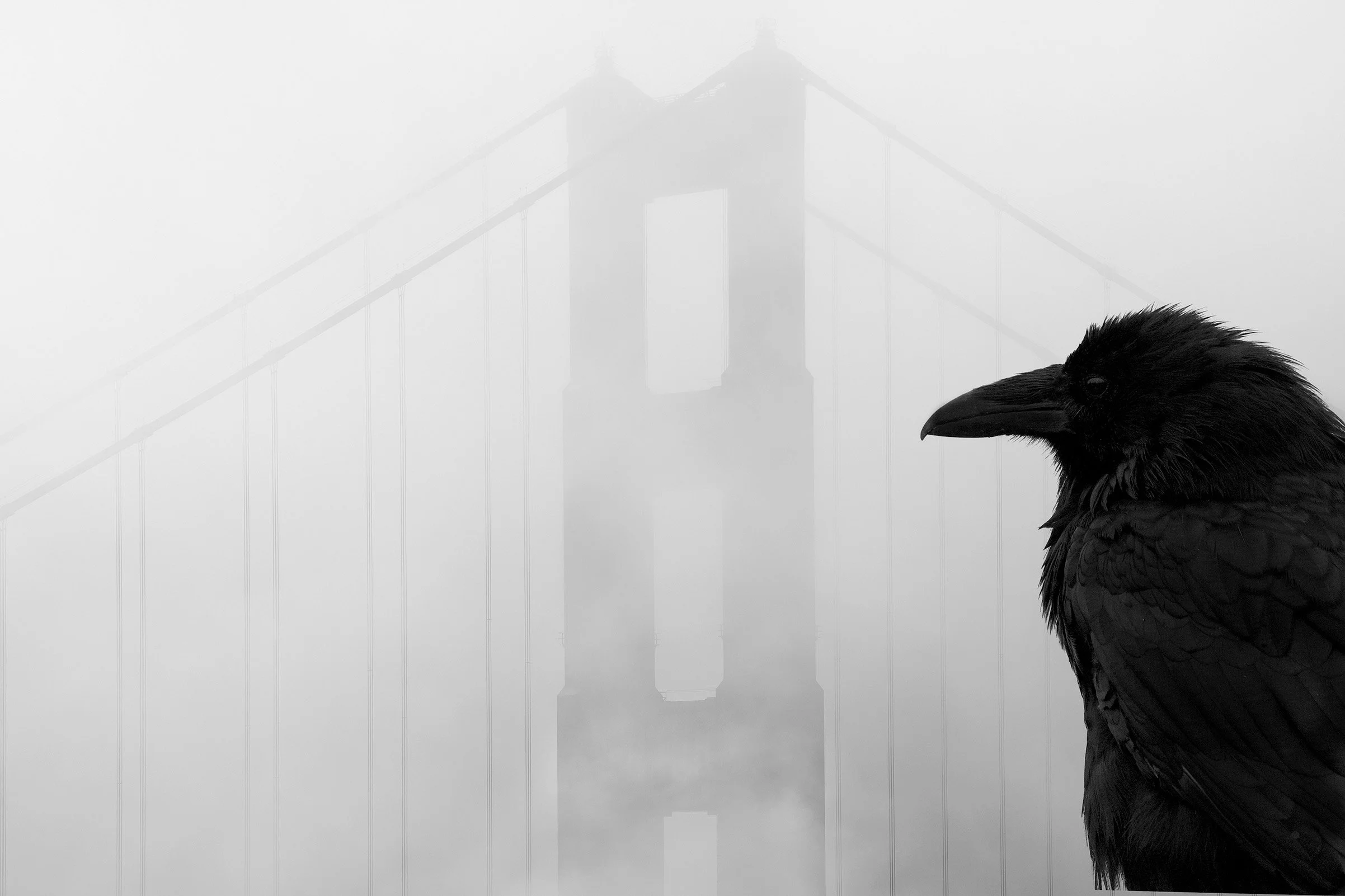 Overlook
