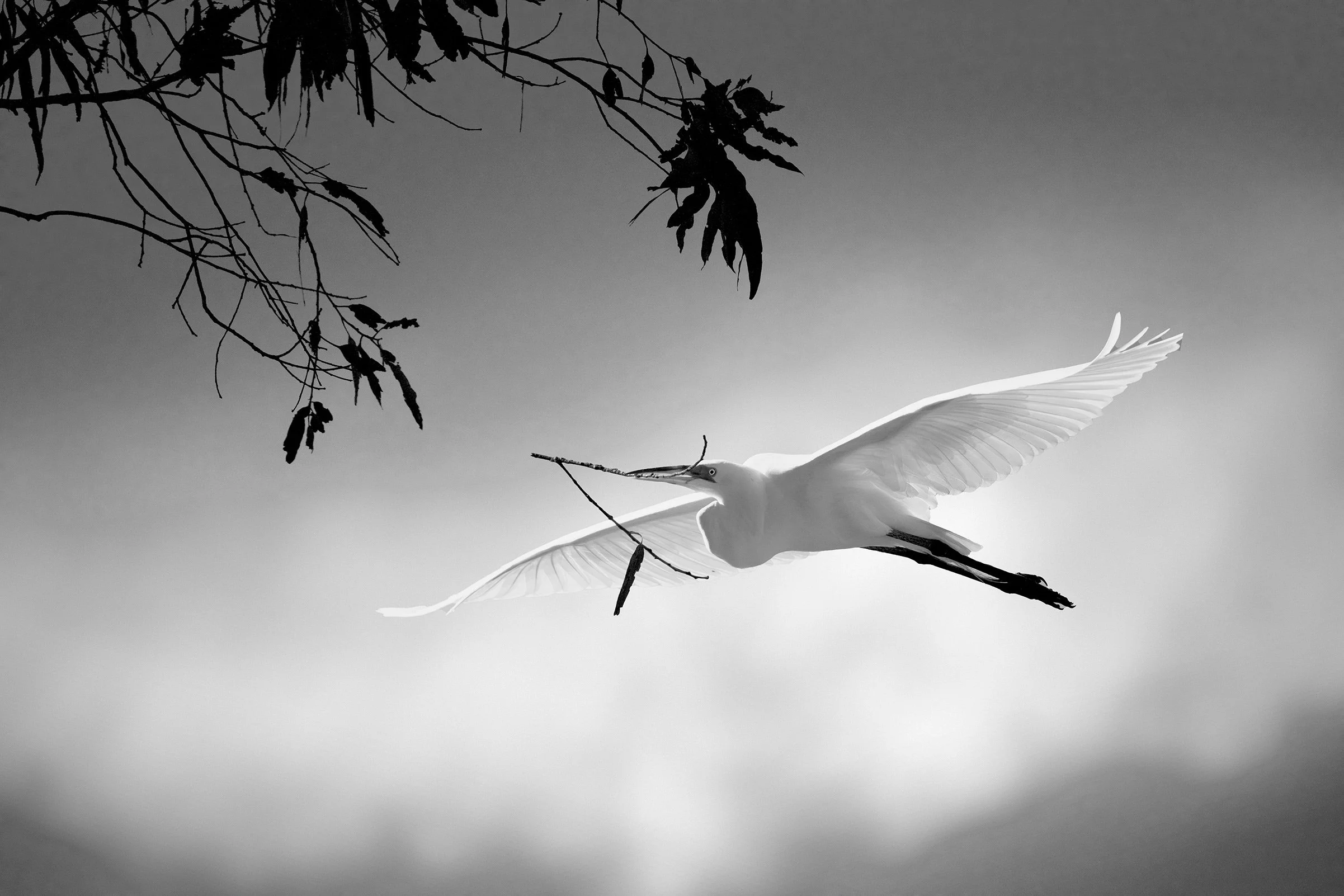 Nesting