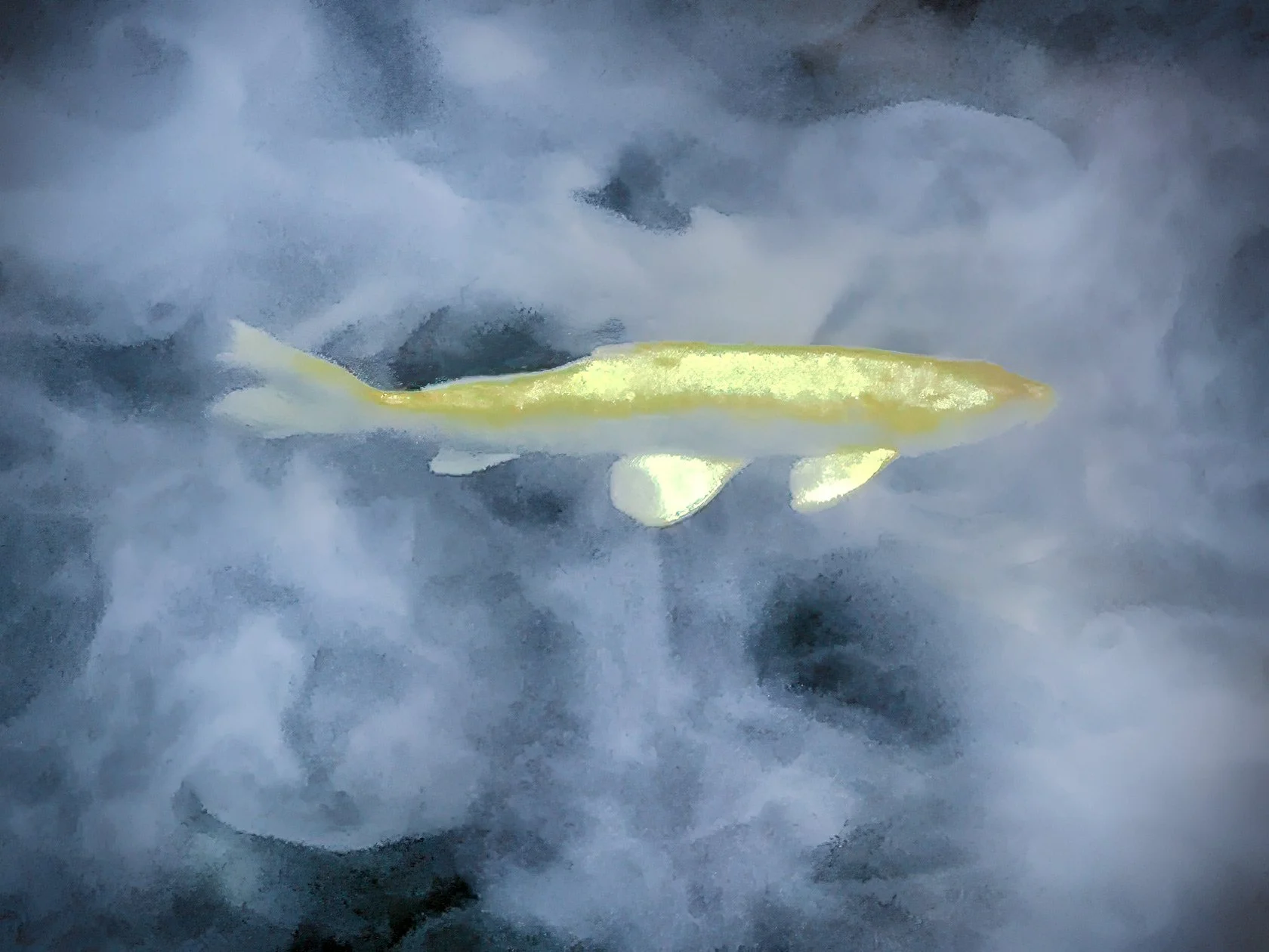 Yellow Fish