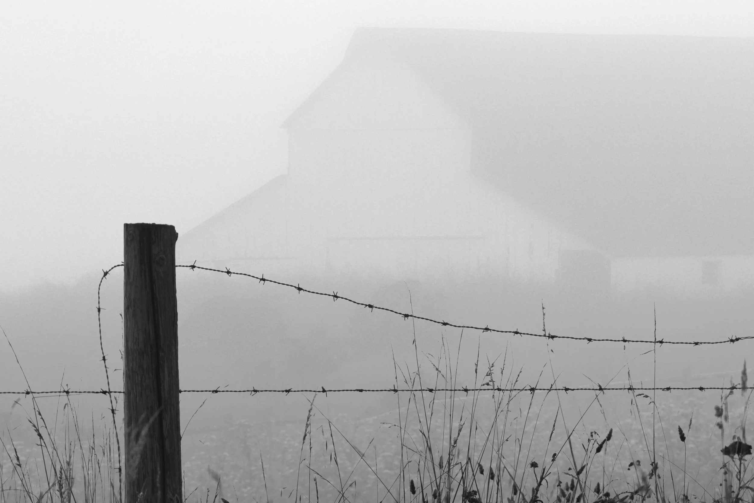 Barn in Fog