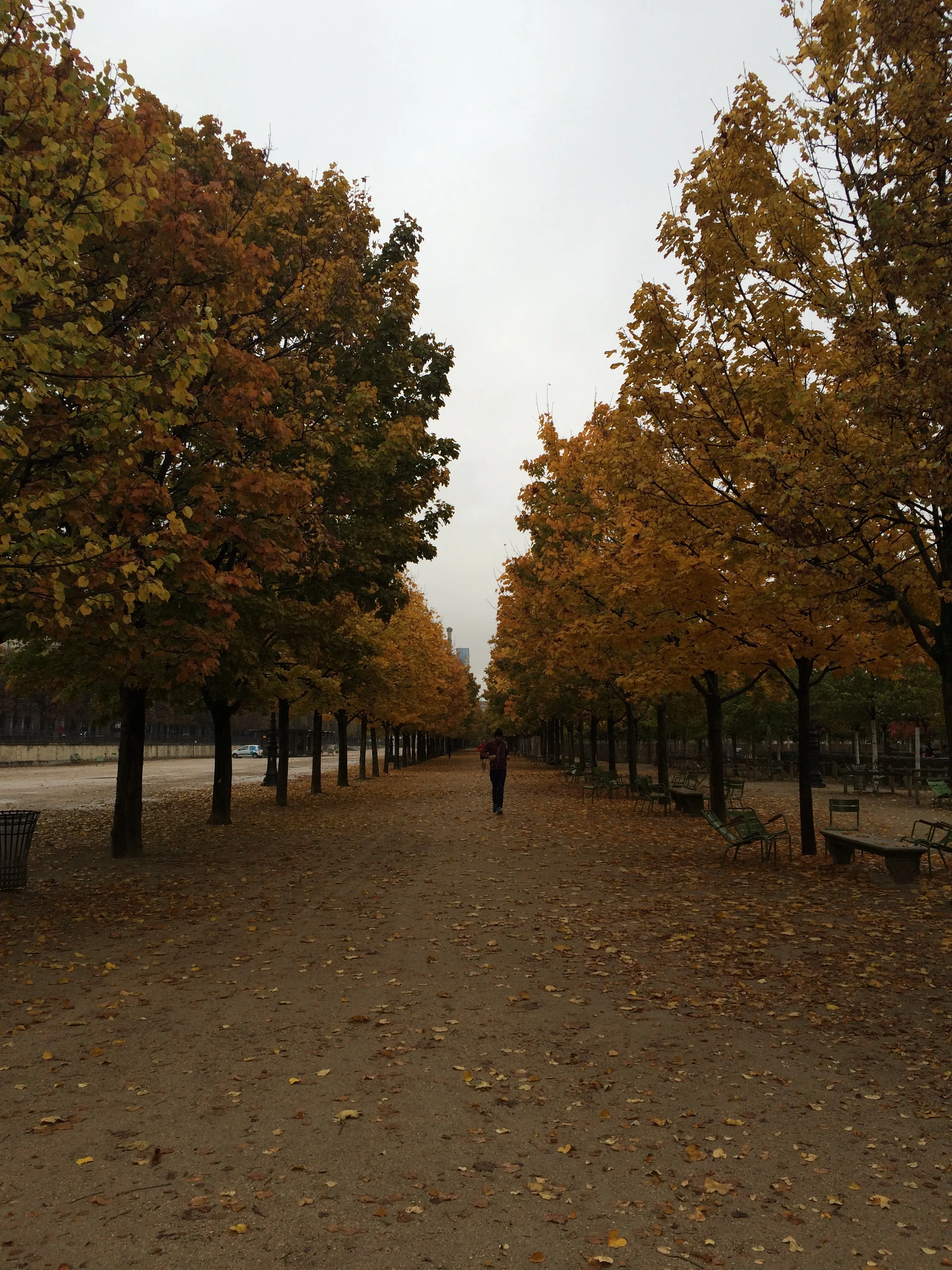 Paris in the Fall