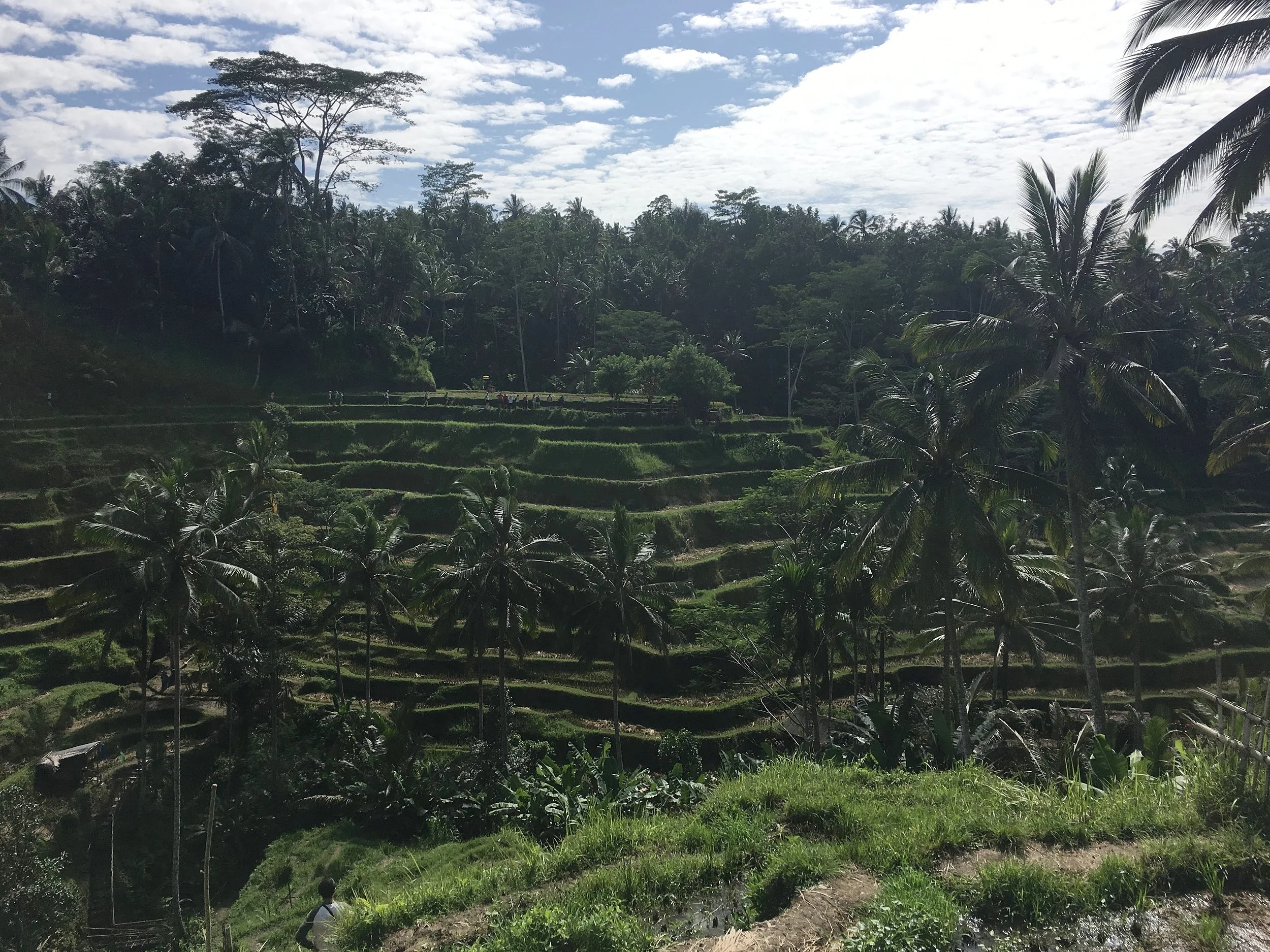 Eat Pray Love Wander Solo in Bali