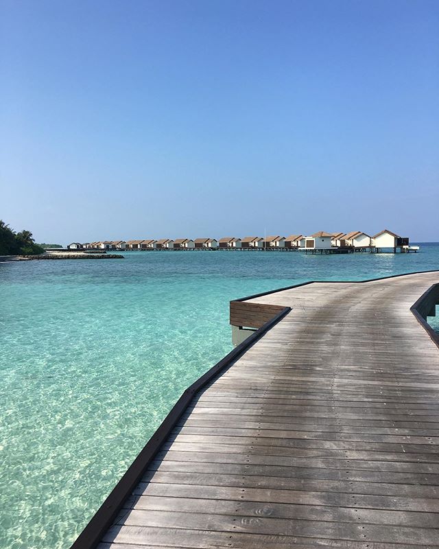 When that dream trip to the Maldives became a reality for me #maldives #theresidencemaldives .
.
.
.
.
#themaldivesislands #gaafualifuatoll #falhumaafushi #falhumaafushi #theresidencemaldivesatdhigurah #paradise #cenizarohotelsandresorts #travelsolo 