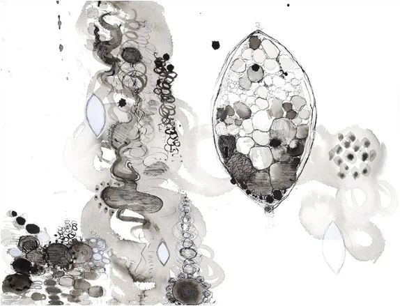 Untitled, 2007, pen and ink, charcoal, wash, 12" x 16"