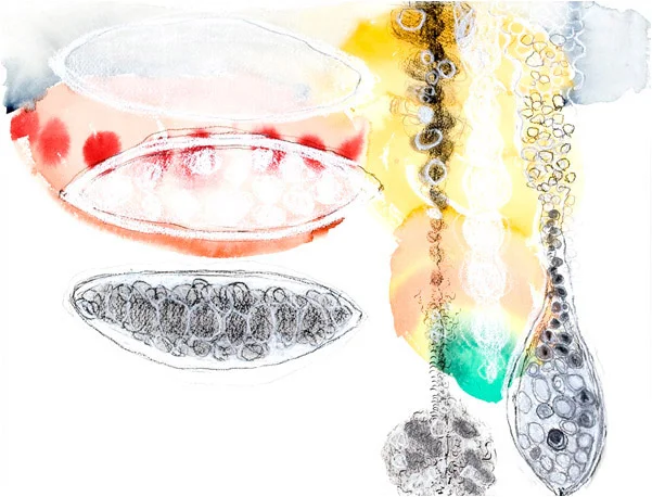 Untitled, 2007, pen and ink, pastel, 12" x 16"