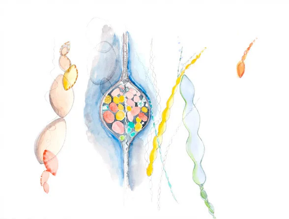 Untitled, 2009, pen and ink, watercolor, 22" x 30"