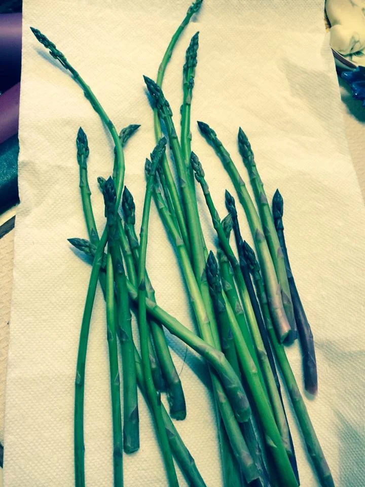 ASPARAGUS.jpg