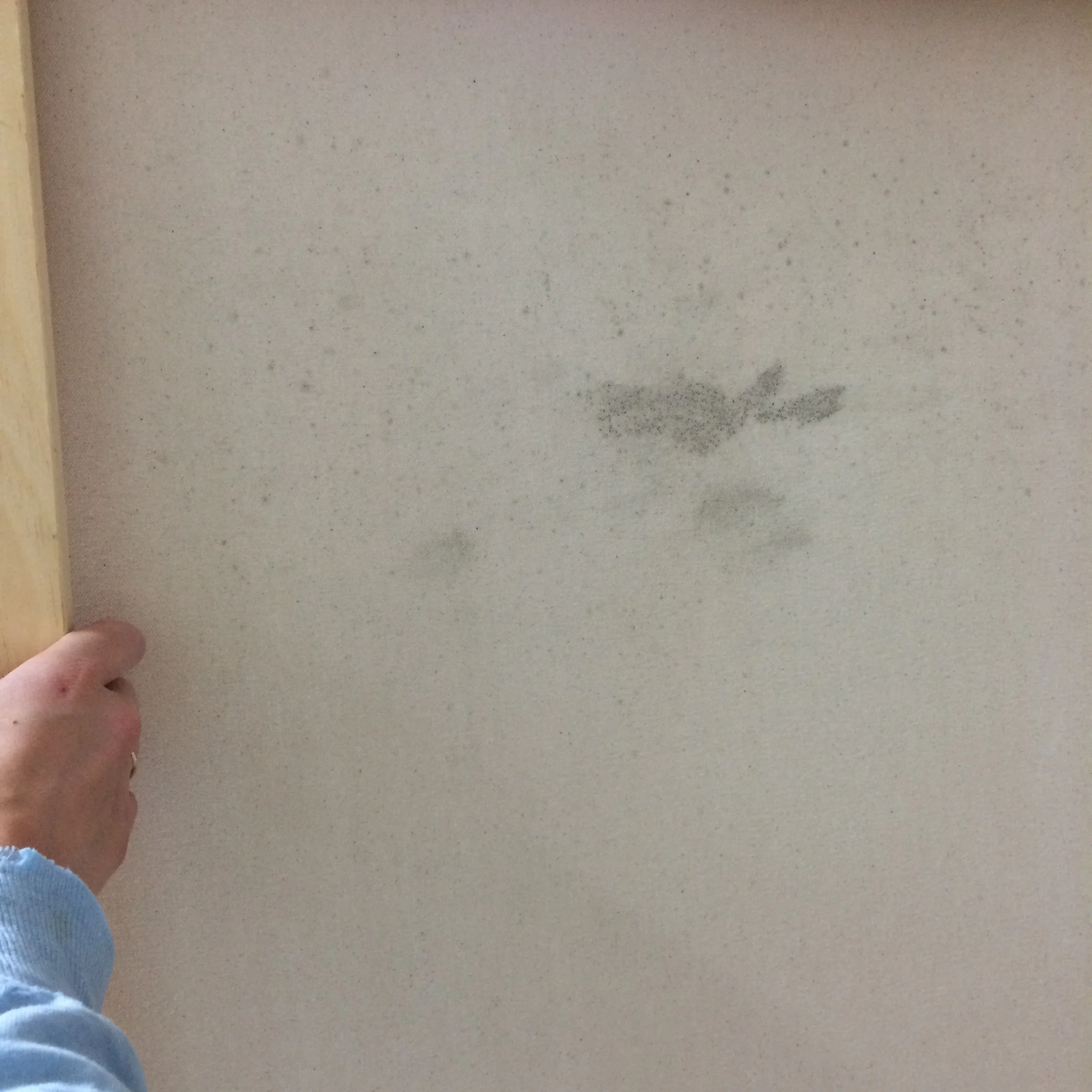 Mold!