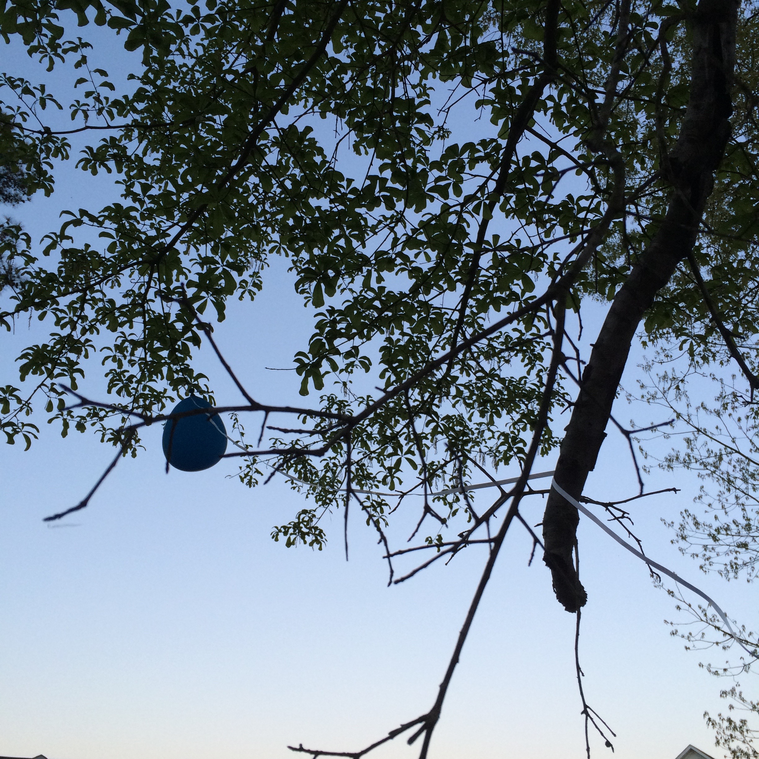 Like this balloon, I was alone and stuck.
