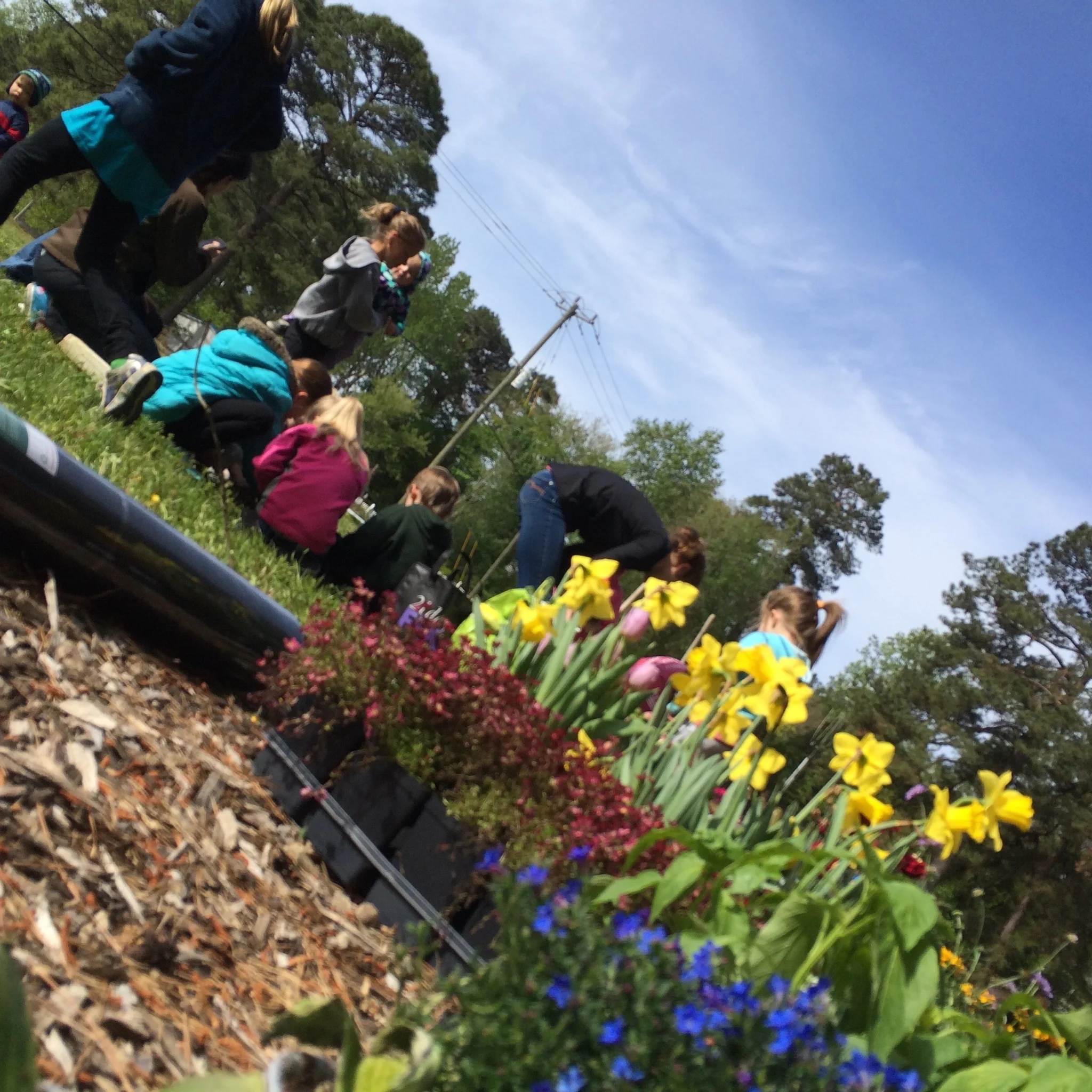 Earlier this month we people planting out at Rick's Place.