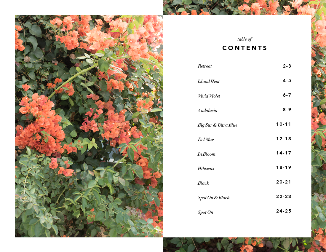 SS_2016_LOOKBOOK_MOCKUP_SUMMER_WORKING2.png