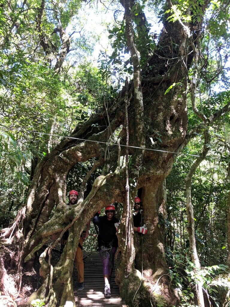 YogAdventures in Costa Rica 2019 - Zipline Adventure