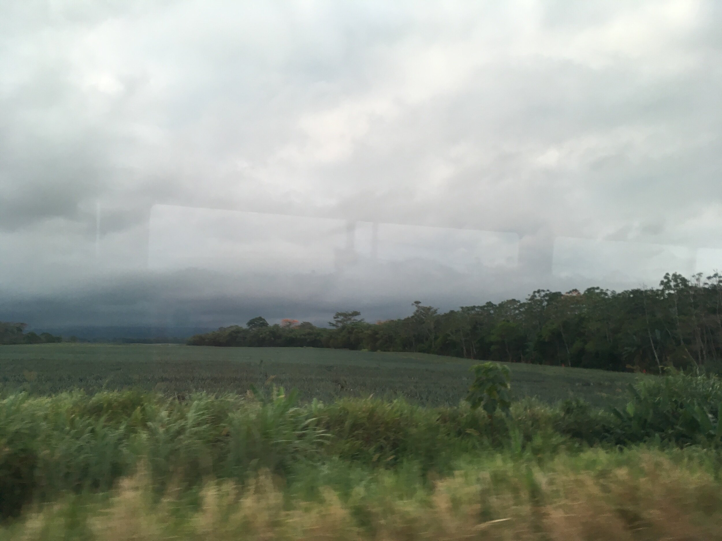 IMG_2916.jpeg